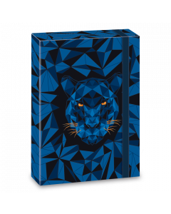 Кутия с ластик A4 Black Panther Ars Una