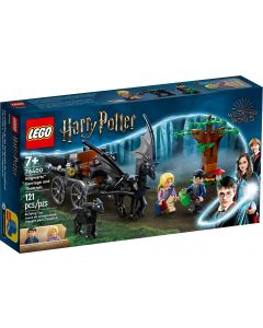 LEGO® Harry Potter 76400 - Хогуортс: Каляска с тестрали