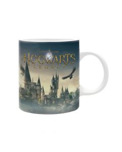 Чаша Harry Potter Hogwarts Legasy Castle
