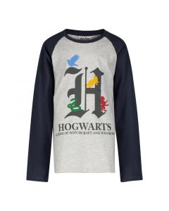 Блуза Harry Potter Hogwarts H