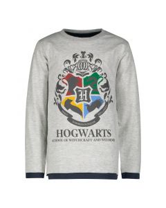 Блуза Harry Potter Hogwarts