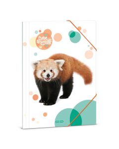 Папка с ластик Ars Una Animals - Red Panda (5309) 