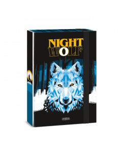 Kутия с ластик А4 Nightwolf (5257) 23 
