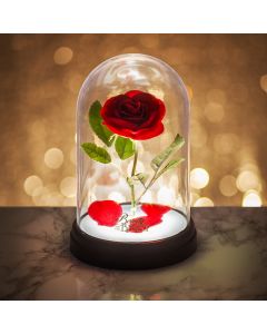 Лампа Disney Enchanted Rose