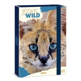 Кутия с ластик А4 Ars Una Icons of the Wild - Serval