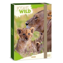 Кутия с ластик А4 Ars Una Icons of the Wild - Lions