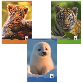Тетрадка А4 WWF Fotografico, 40 листа, Асортимент, 3 вида