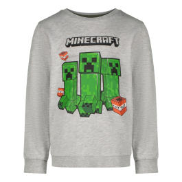 Блуза Minecraft Creepers Trio TNT, размер 116