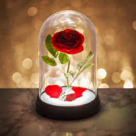 Лампа Disney Enchanted Rose